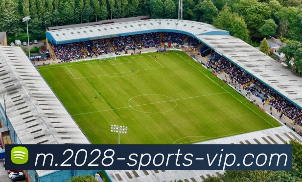 多媒体互动体验